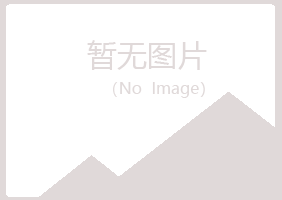 百色右江夏青化学有限公司